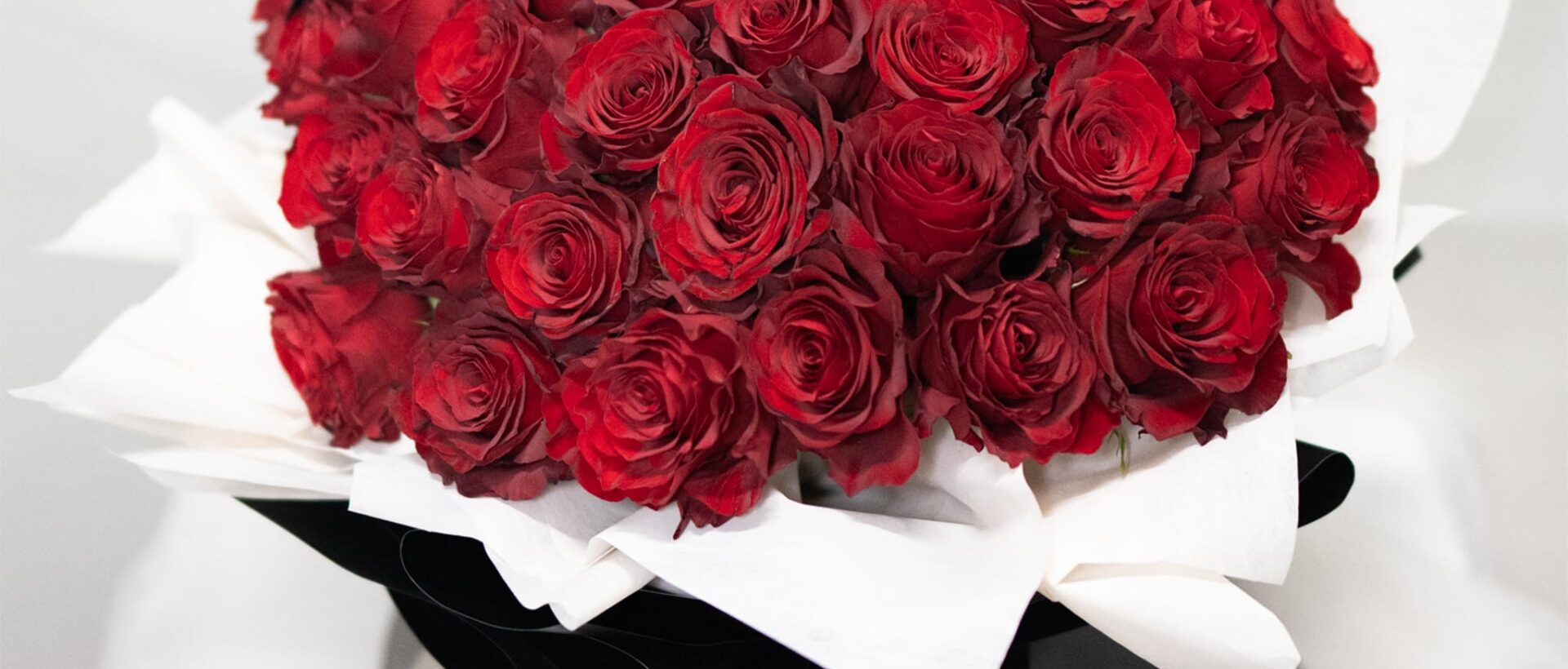 紅玫瑰 未命名-1-1920x820.jpg